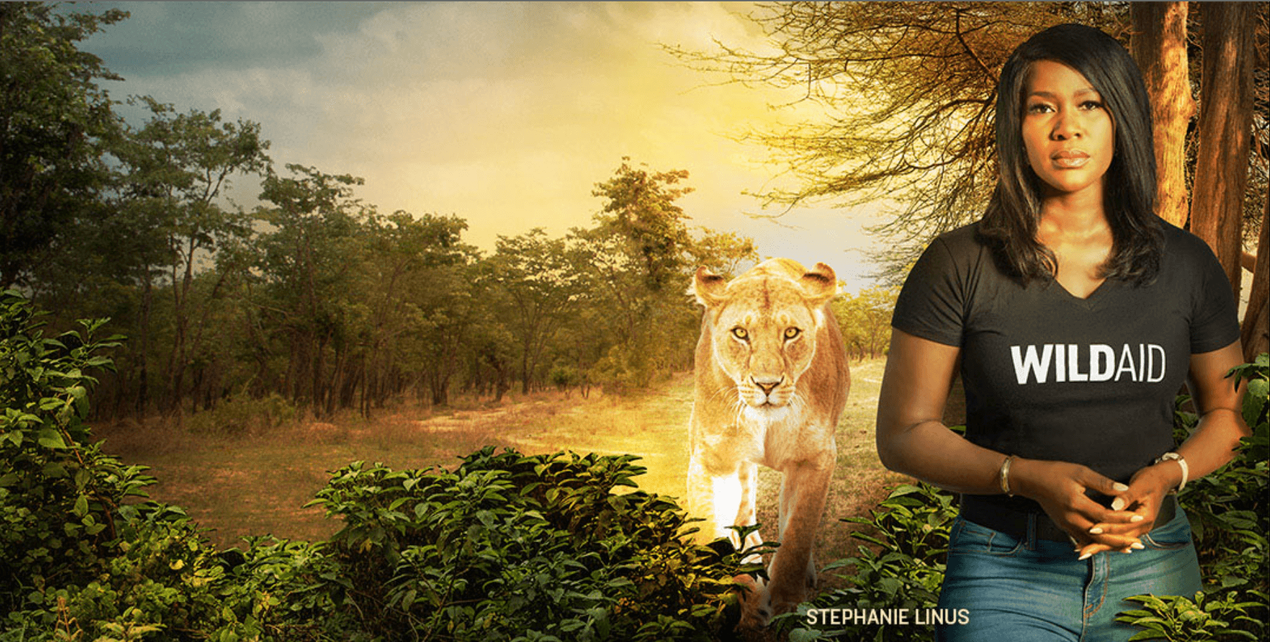 Wildlife Conservation and Protection in Rural Communities